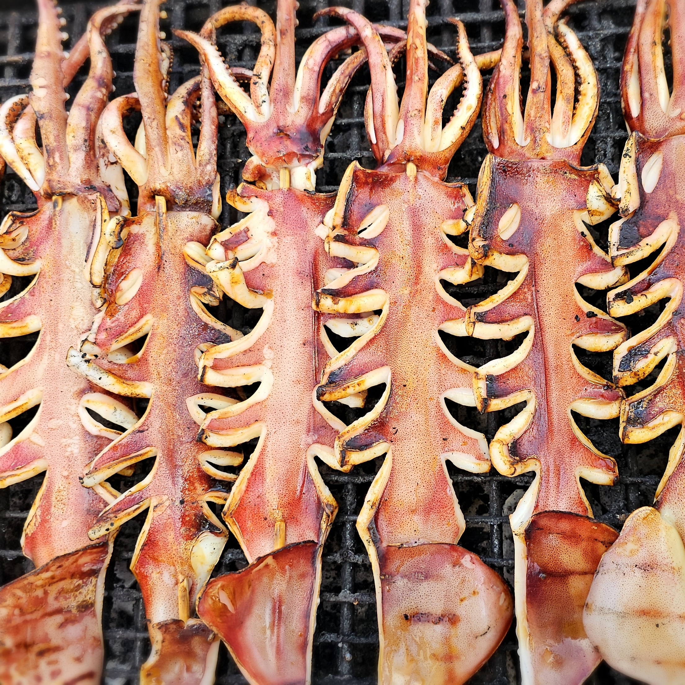 Squid Skewer